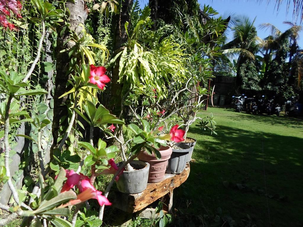 Hotel Bali Aman Darling House à Canggu Extérieur photo