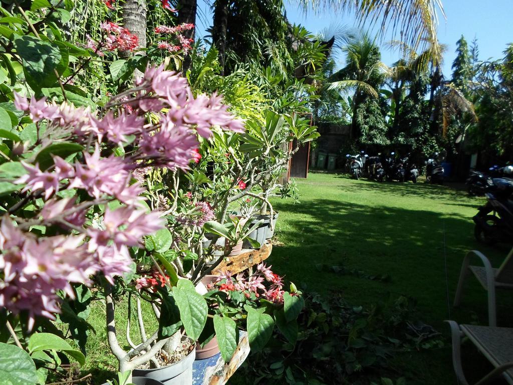 Hotel Bali Aman Darling House à Canggu Extérieur photo